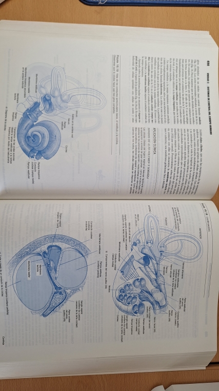 Principuos de anatomía y fisiología