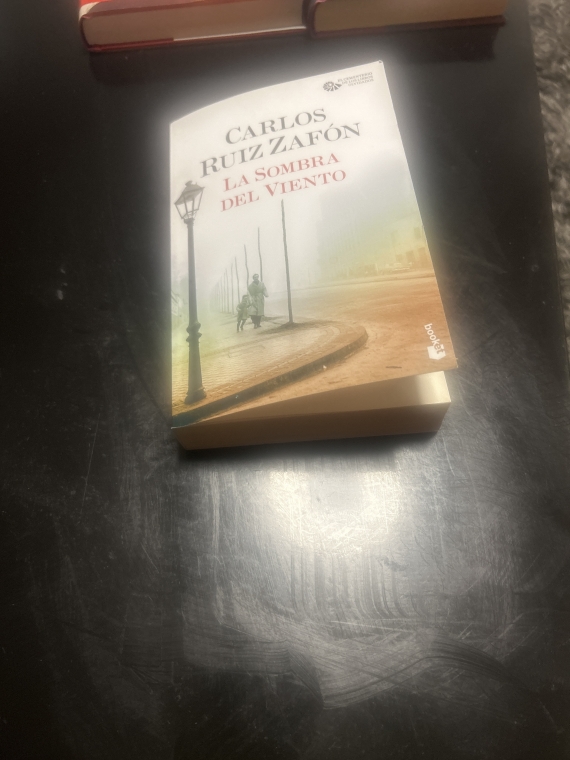La sombra del viento